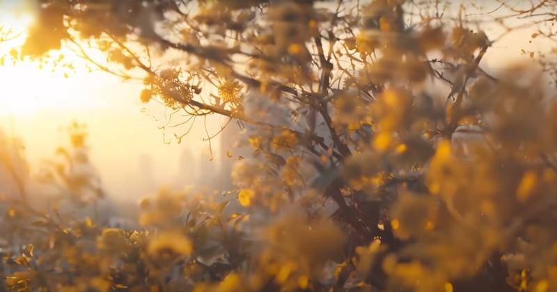 Youtube.com/RaimLaode